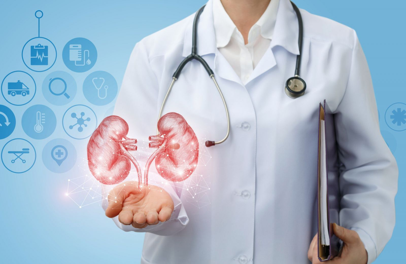Protein trong thịt heo có cao không? 100g thịt heo có bao nhiêu protein? 3